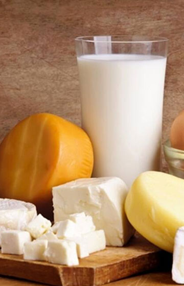 Dairy Cleaning Chemical Manufacturer in Dubai, Abu Dhabi, Sharjah - UAE